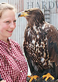 Hildesheimer Augenzentrum übernimmt Patenschaft für “Viktoriaâ€ - den Weißkopfseeadler im Zoo 